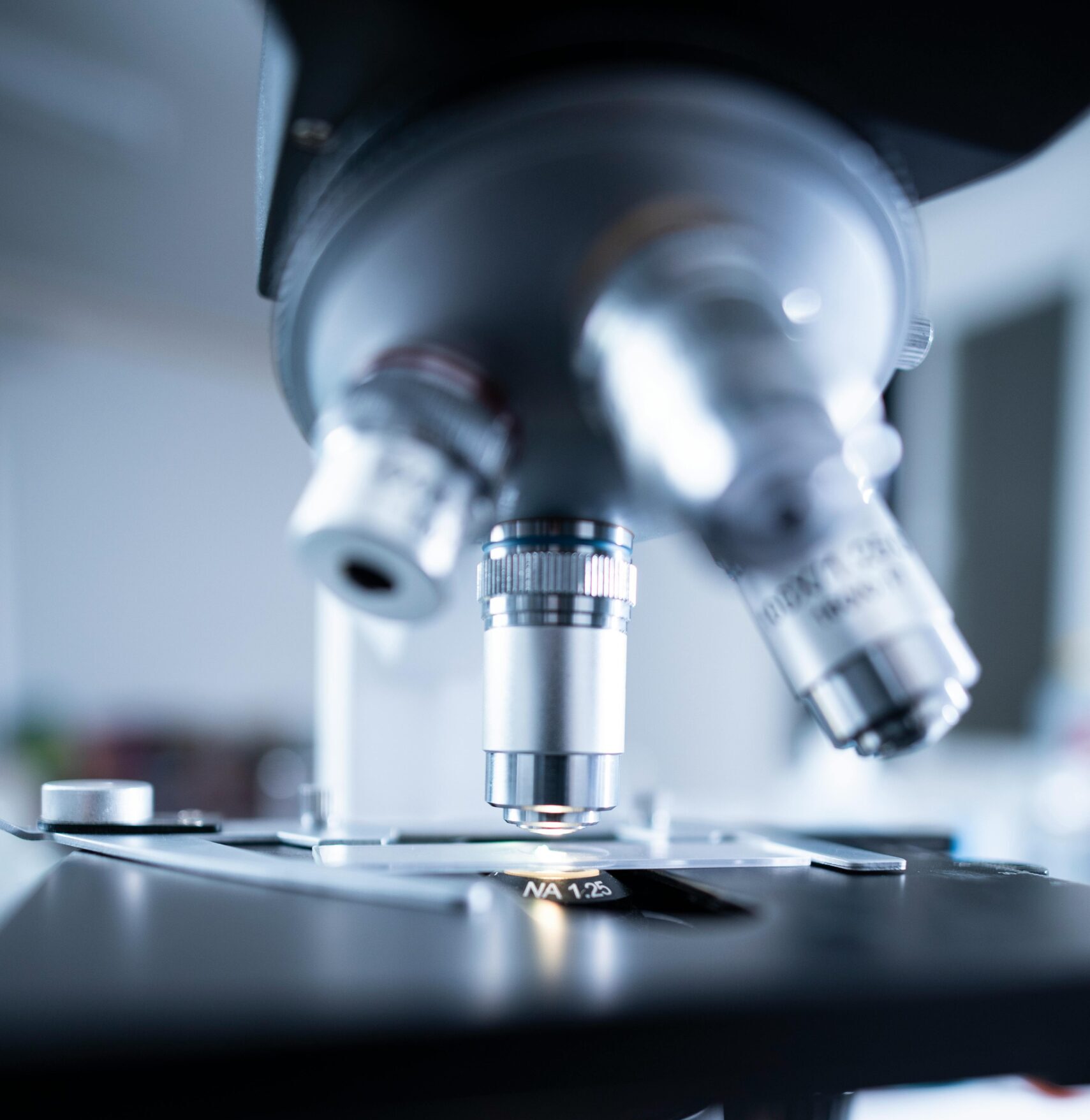 pexels-chokniti-khongchum-2280547